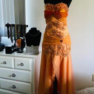 Danza Vintage Orange Strapless Embroidered Gown Size 10